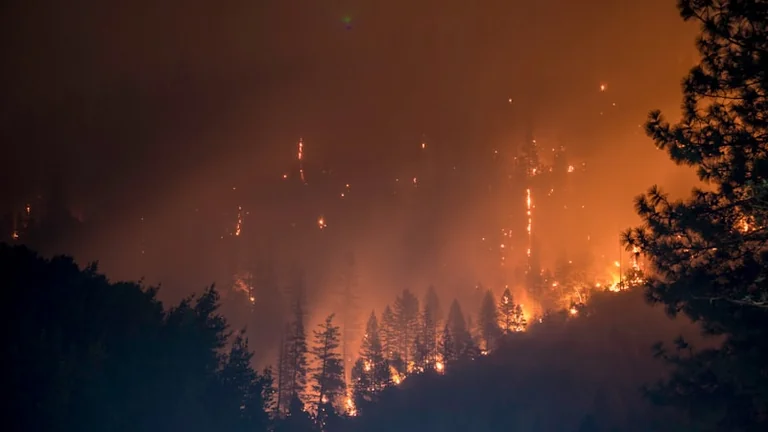 Freitagabend: Warnlage und Waldbrandgefahr prüfen