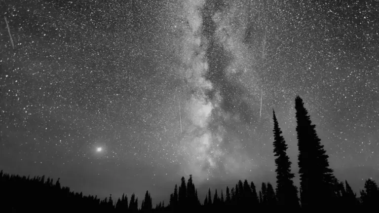 Sternschnuppen der Perseiden über einer bewaldeten Landschaft in einer klaren Nacht.