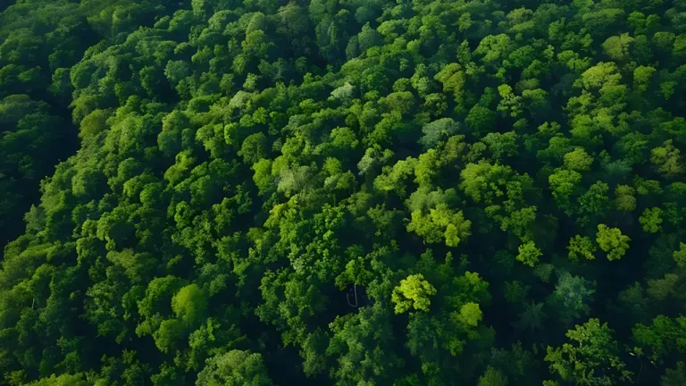 Alexander von Humboldt: Warum sein Denken über Natur bis heute wirkt