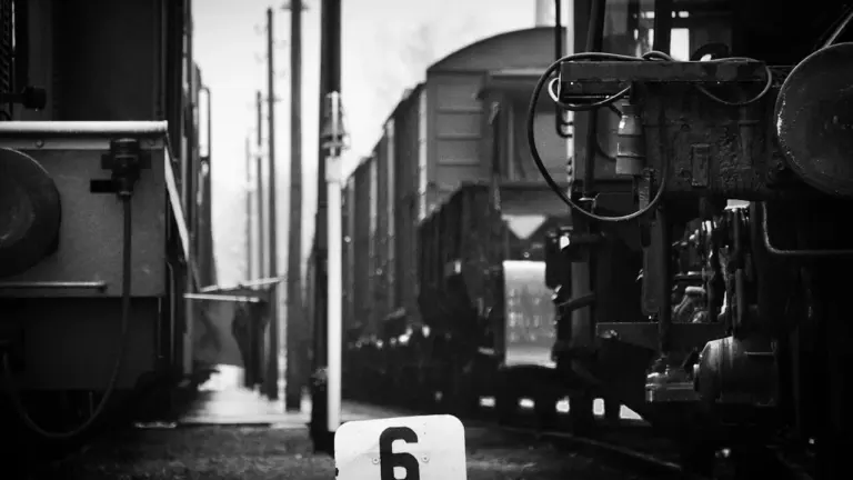 Schwarz-Weiß-Aufnahme von abgestellten Zügen an einem Bahnhofsgleis mit einer Nummerntafel.