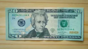 Ein 20-US-Dollar-Schein liegt flach auf einer hellen, neutralen Holzoberfläche.