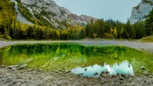 Der Grüne See in der Steiermark, ein kristallklarer Bergsee umgeben von Bäumen.