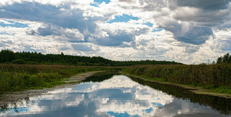 Wasserträume: Ort, Bewegung und Gefühl richtig deuten
