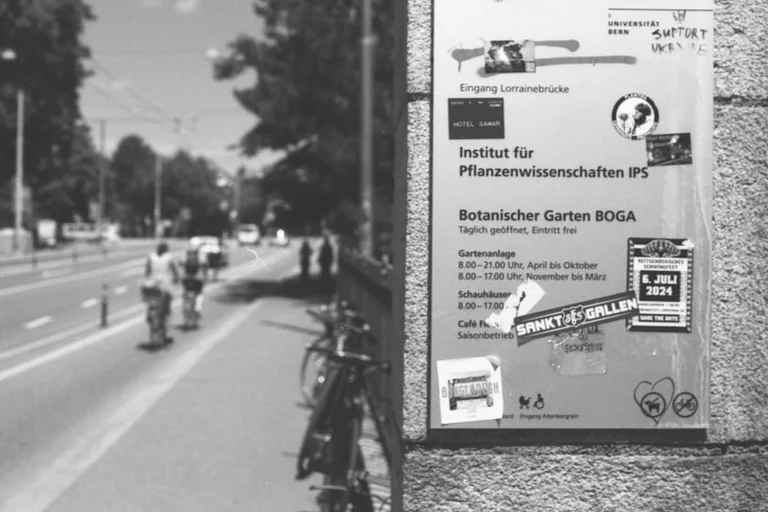Wuppertaler Eltern bekommen Einblick in die Schulwahl