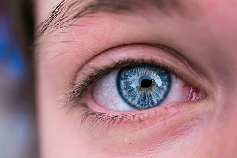 Bildschirmpausen im Büro: Routine für entspanntere Augen