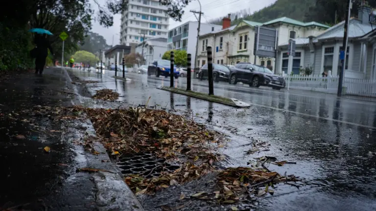 Nasses Herbstlaub: Wo Wege und Straßen besonders rutschig werden