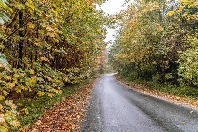 Nasses Herbstlaub: Wo Wege und Straßen besonders rutschig werden